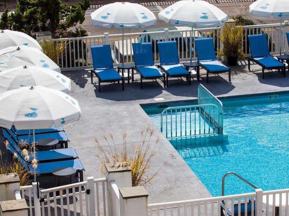 Sandpiper Club Hotel 3*